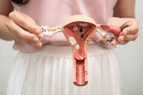 Echipament de ecografie într-un cabinet medical