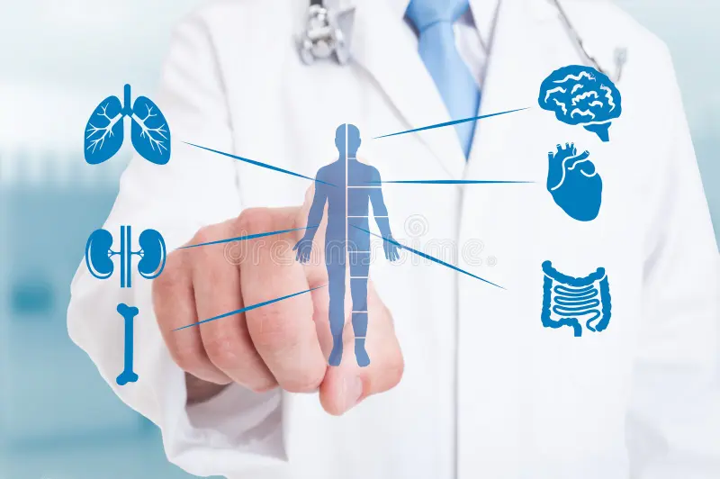 Consultație de medicină internă cu stetoscop și fișă medicală